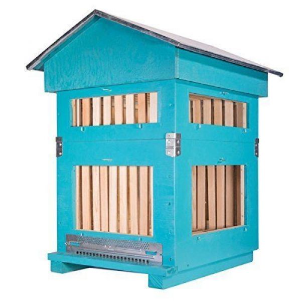 ARNIA DA OSSERVAZIONE DA 10 FAVI CON PARETI VETRATE COMPLETA DI NID...