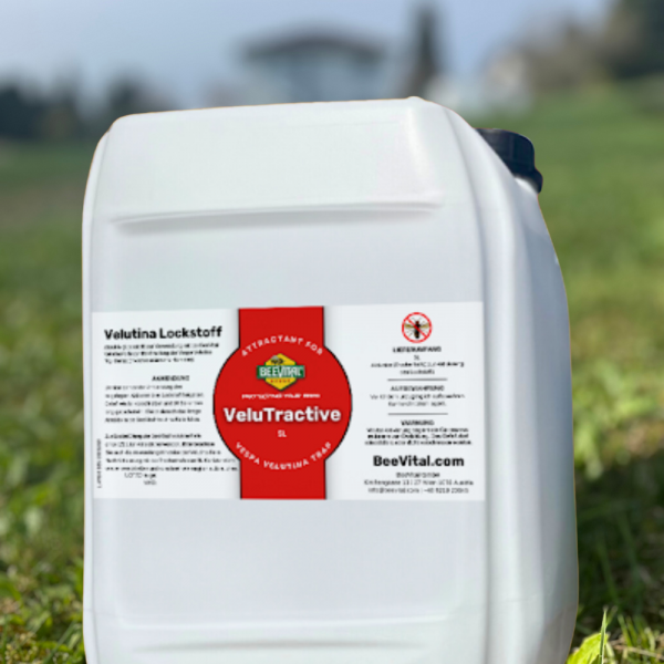 ATTRATTIVO SPECIALE PER VESPA VELUTINA - VELUTRACTIVE 2 TANICHE DA ...