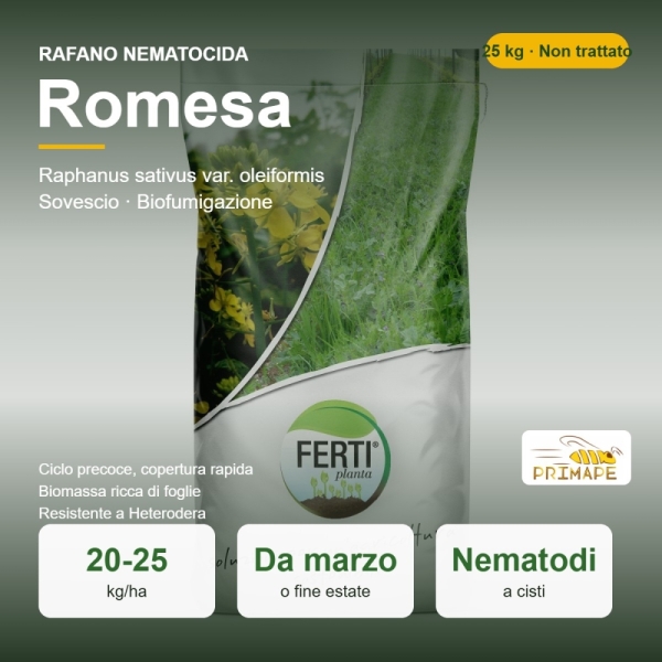 Semi di Rafano Nematocida Romesa – 25 kg – Sovescio e Biofumiga...