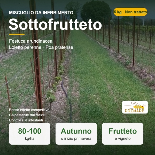 Miscuglio da Inerbimento Sottofrutteto – 5 kg – Frutteto e Vign...