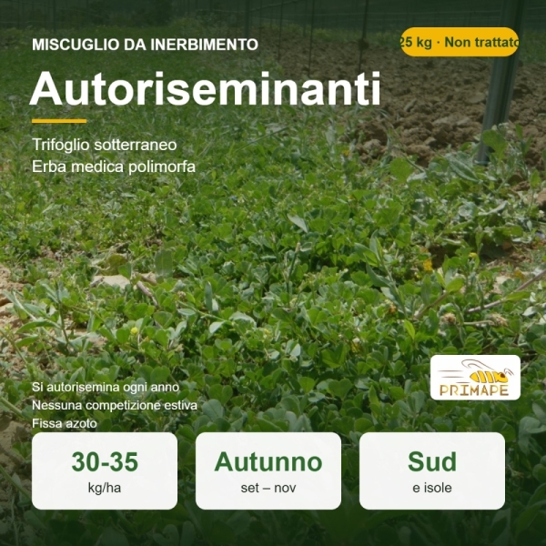 Miscuglio da Inerbimento Autoriseminanti – 25 kg – Frutteto e V...