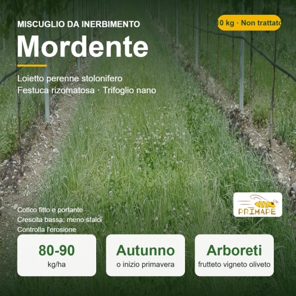 Miscuglio da Inerbimento Mordente – 10 kg – Colture Arboree –...