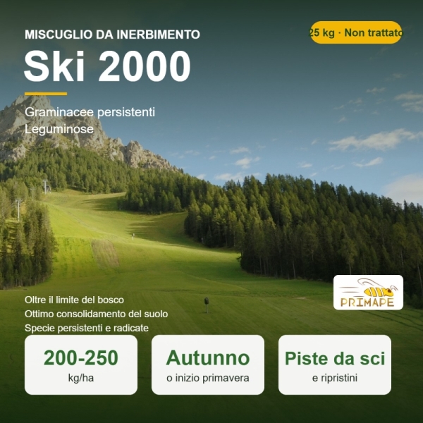 Miscuglio da Inerbimento Ski 2000 – 25 kg – Piste da Sci e Ripr...