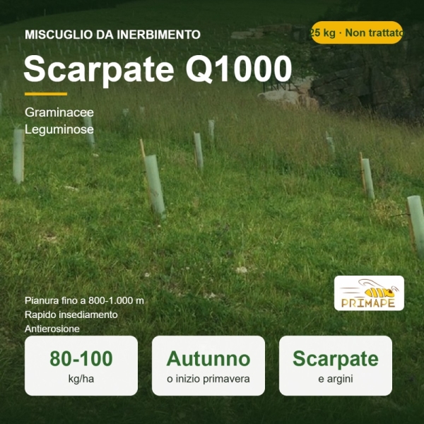 Miscuglio da Inerbimento Scarpate Q1000 – 25 kg – Antierosione ...
