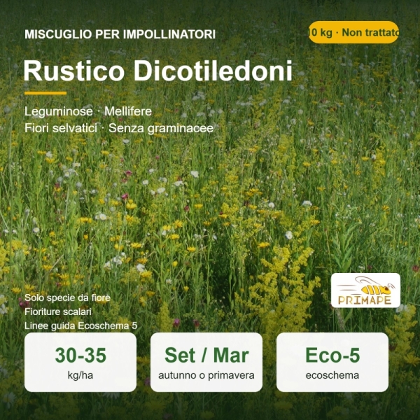 Miscuglio per Impollinatori Operation Pollinator Rustico Dicotiledo...
