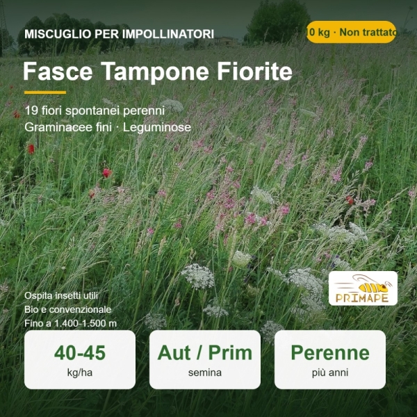 Miscuglio per Impollinatori Fasce Tampone Fiorite – 10 kg – Inf...