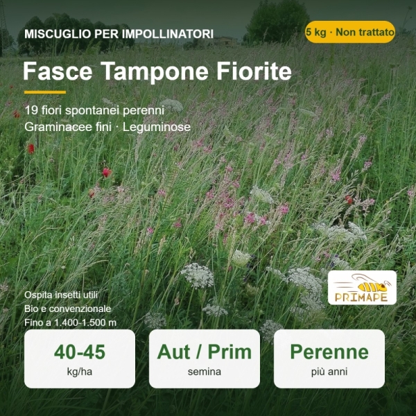Miscuglio per Impollinatori Fasce Tampone Fiorite – 5 kg – Infr...