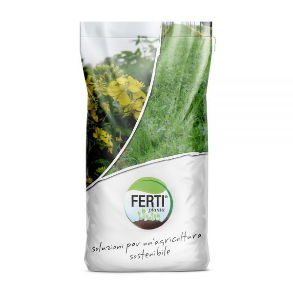 SEMI DI RAFANO TERRANOVA 20 KG