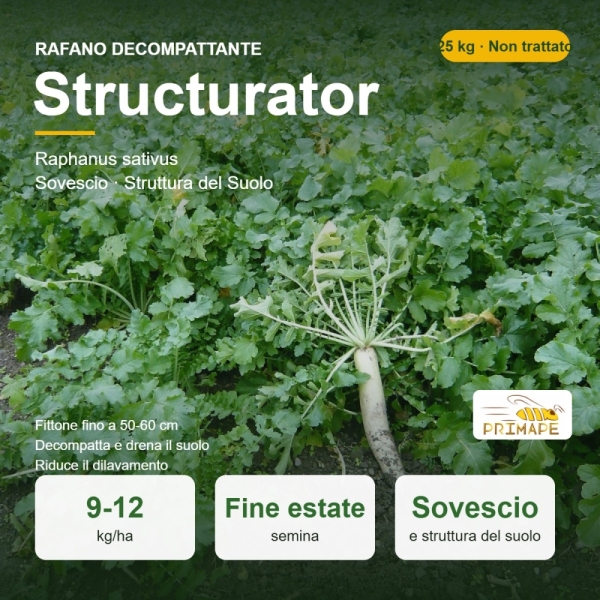 Semi di Rafano Decompattante Structurator – 25 kg – Sovescio e ...