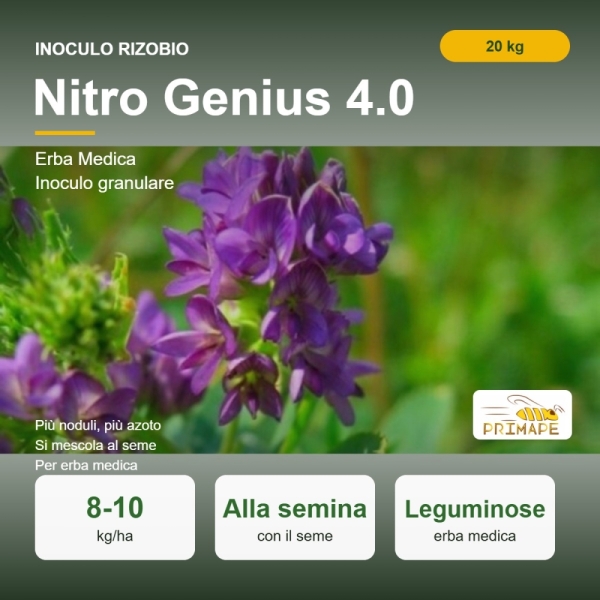 Inoculo Rizobio Nitro Genius 4.0 – 20 kg – Erba Medica