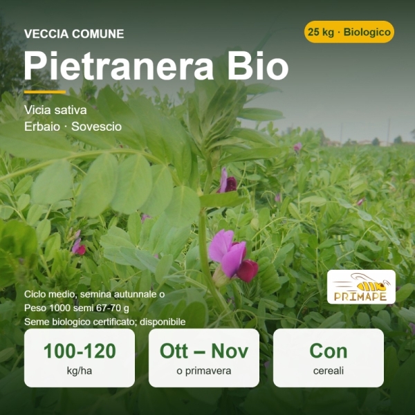 Semi di Veccia Comune Pietranera Bio – 25 kg – per Erbaio e Sov...