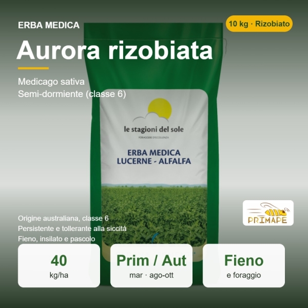 Semi di Erba Medica Aurora Rizobiata – 10 kg – Fieno e Foraggio...
