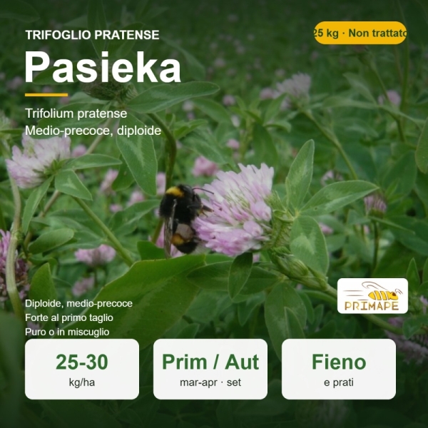 Semi di Trifoglio Pratense Pasieka – 25 kg – Fieno e Prato – ...