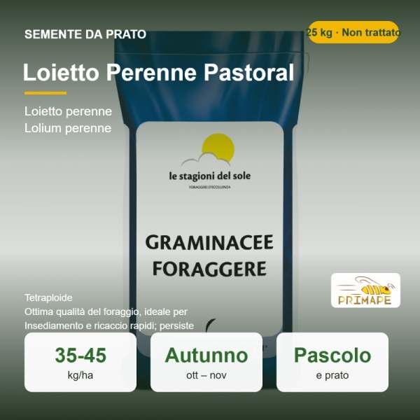 Semi di Loietto Perenne Pastoral – 25 kg – Pascolo e Prato – ...