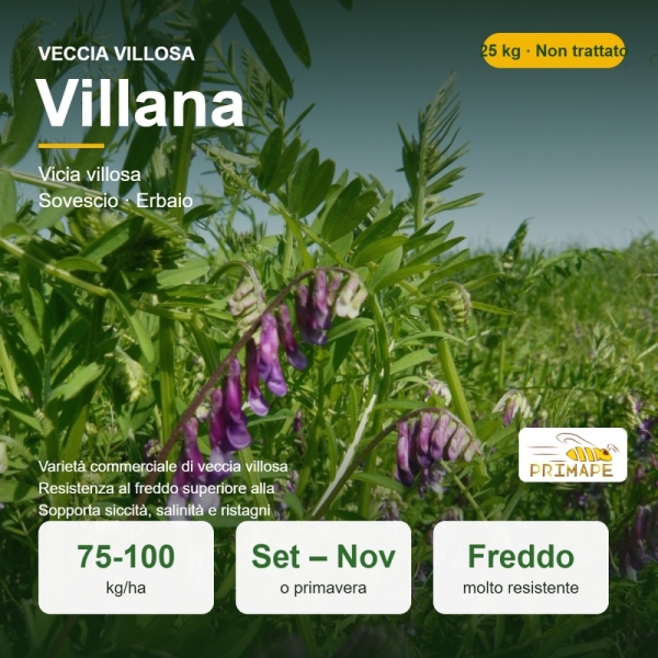 Semi di Veccia Villosa Villana – 25 kg – Non trattati – per S...