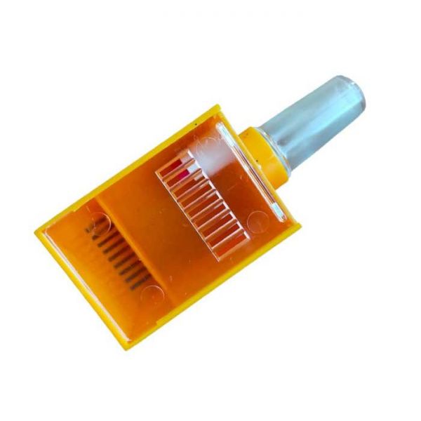 GABBIA PER IMMAGAZINAMENTO E MANTENIMENTO DELLA REGINA