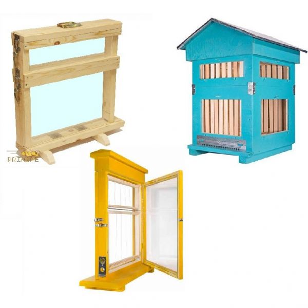 ARNIA DA OSSERVAZIONE