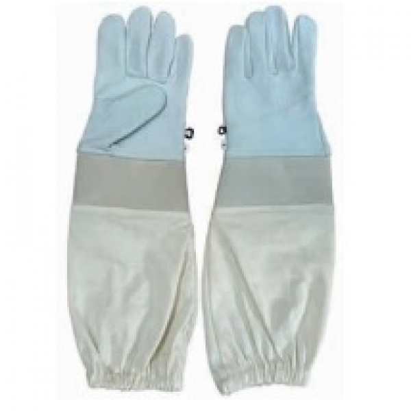 GUANTI IN PELLE ECONOMICI - TAGLIA 10