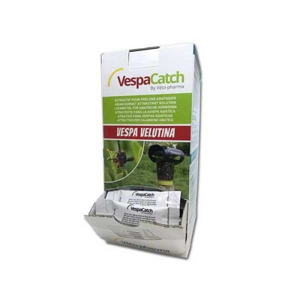 ESCA PER TRAPPOLA PER CALABRONI ASIATICI- MONODOSE DA 10ml