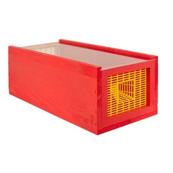 TRAPPOLA ROSSA PER CALABRONI ASIATICI