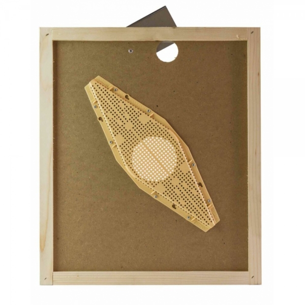 Apiscampo losanga su tavoletta per arnia da 12 (mm.500x500)