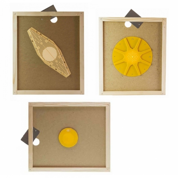 APISCAMPO SU TAVOLETTA PER ARNIA