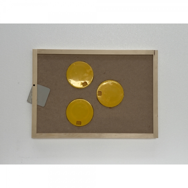 APISCAMPO IN PLASTICA ROTONDO SU TAVOLETTA PER INFINITY DA 8 (mm.38...