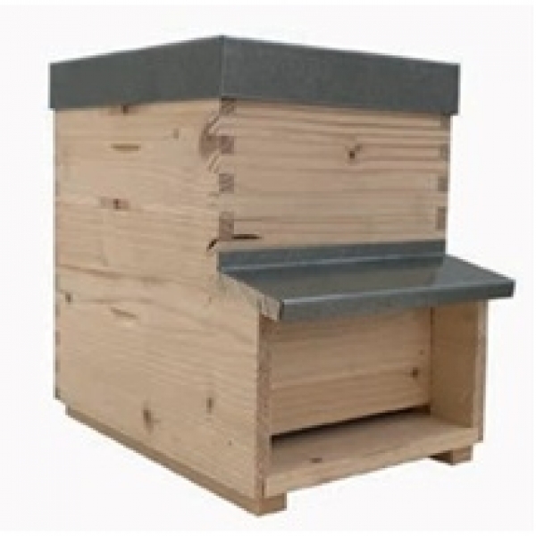 ARNIETTA DA ESPOSIZIONE MINI