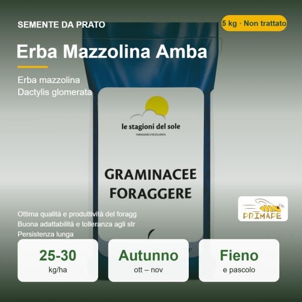 Semi di Erba Mazzolina Amba – 5 kg – Prato e Foraggio – Non t...