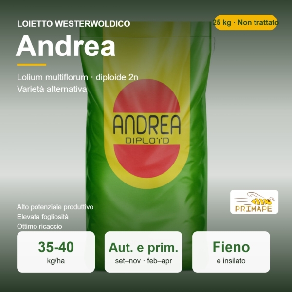 Loietto Westerwoldico Andrea – 25 kg – Non trattati – per Fie...