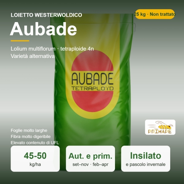 Loietto Westerwoldico Aubade – 25 kg – Non trattati – per Ins...