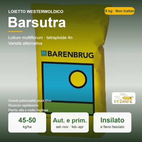 Loietto Westerwoldico Barsutra – 25 kg – Non trattati – per I...