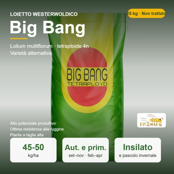 Loietto Westerwoldico Big Bang – 25 kg – Non trattati – per I...