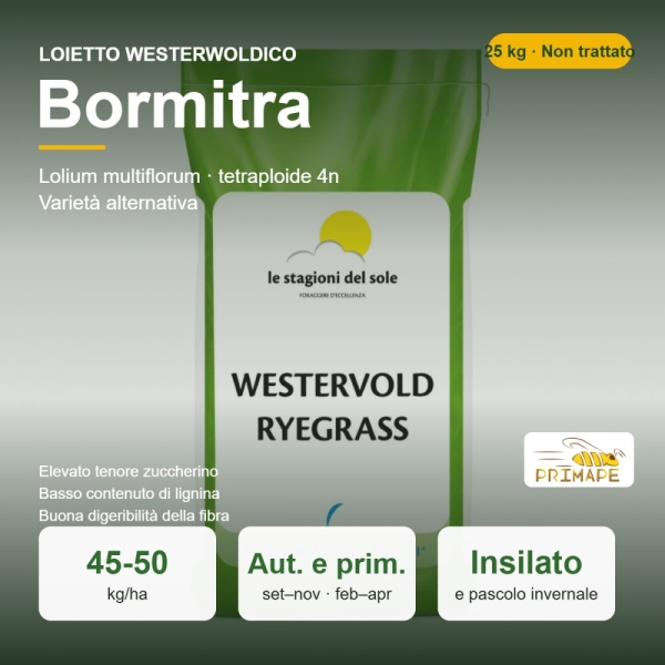 Loietto Westerwoldico Bormitra – 25 kg – Non trattati – per I...