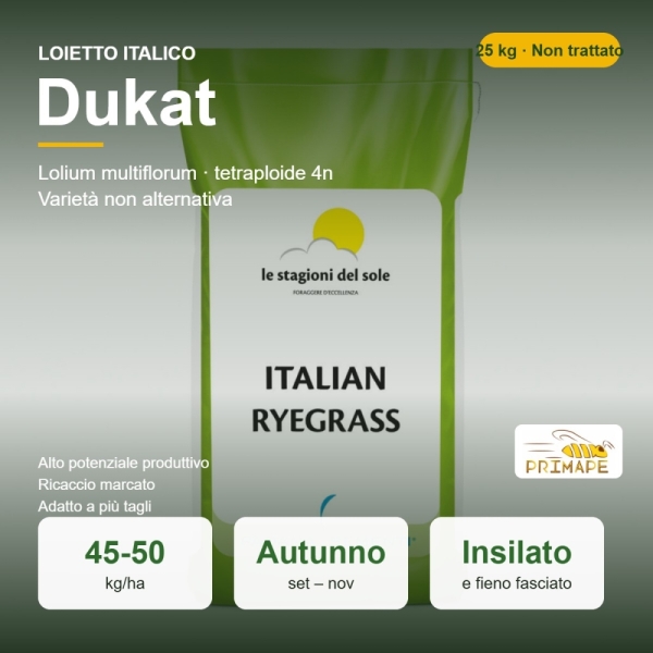 Semi di Loietto Italico Dukat – 25 kg – Insilato e Fieno Fascia...
