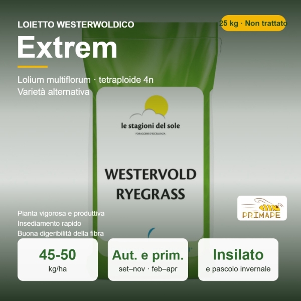Loietto Westerwoldico Extrem – 25 kg – Non trattati – per Ins...