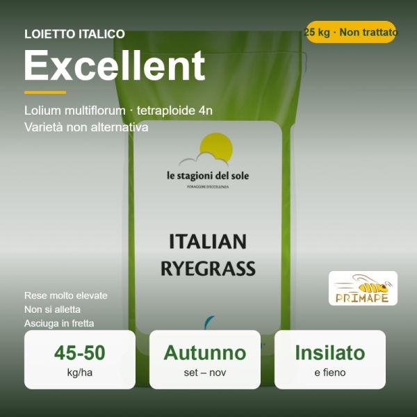 Semi di Loietto Italico Excellent – 25 kg – Fieno e Insilato �...