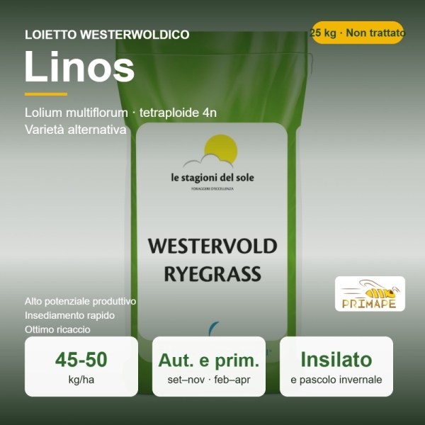 Loietto Westerwoldico Linos – 25 kg – Non trattati – per Insi...