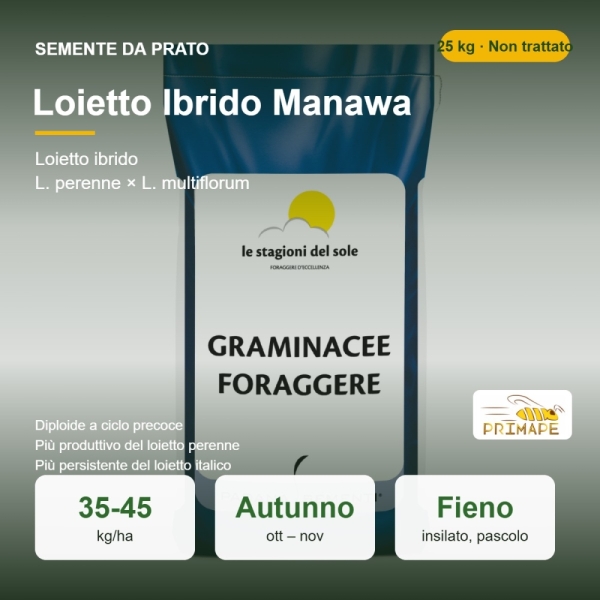 Semi di Loietto Ibrido Manawa – 25 kg – Prato e Foraggio – No...