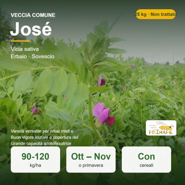 Semi di Veccia Comune José – 25 kg – Erbaio e Sovescio – Non...