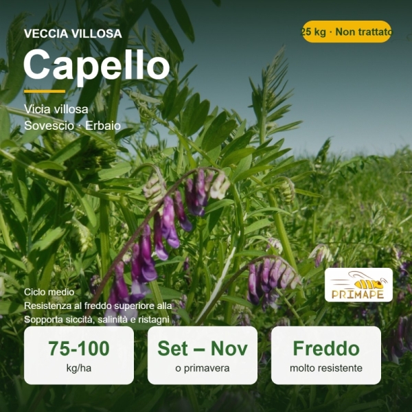 Semi di Veccia Villosa Capello – 25 kg – Non trattati – per S...