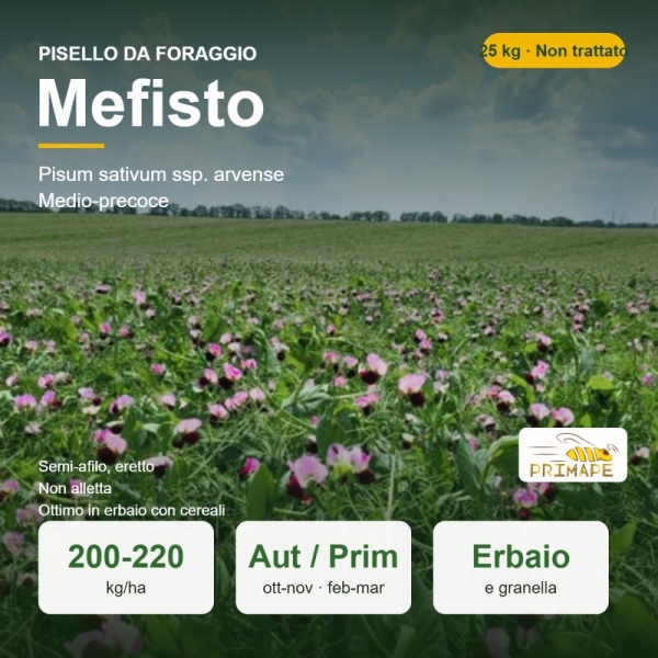 Semi di Pisello da Foraggio Mefisto – 25 kg – Erbaio e Granella...
