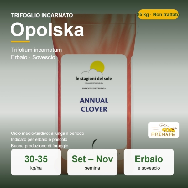 Semi di Trifoglio Incarnato Opolska – 25 kg – Erbaio e Sovescio...