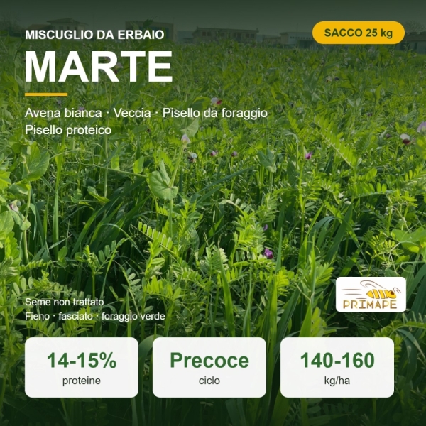 Miscuglio da Erbaio Marte – 25 kg – Non trattato – Per Fieno ...