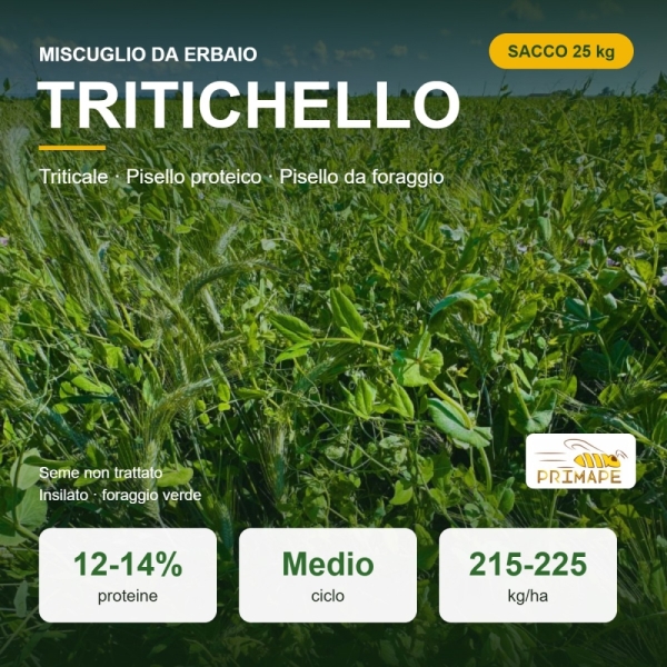 Miscuglio da Erbaio Tritichello – 25 kg – Non trattato – Per ...