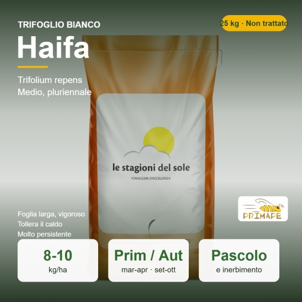 Trifoglio Bianco Haifa – 25 kg – Non trattati – Per Pascolo e...