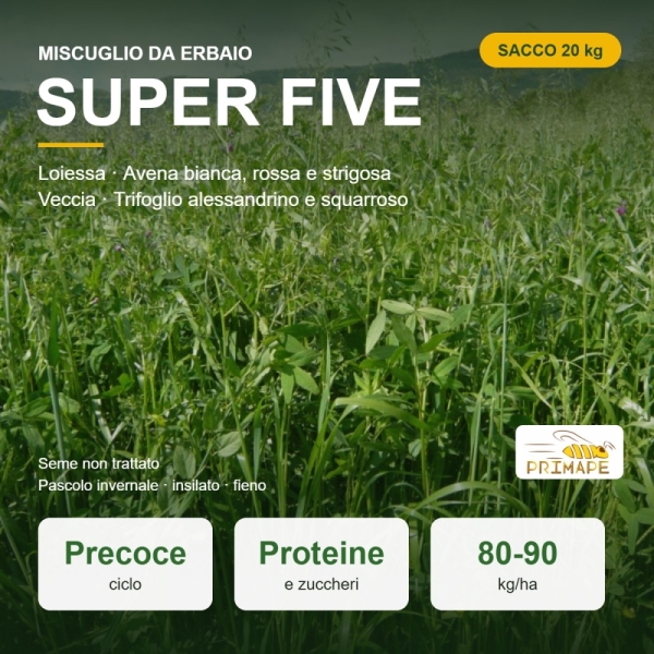 Miscuglio Erbaio Super Five – 20 kg – Non trattato – Per Pascolo