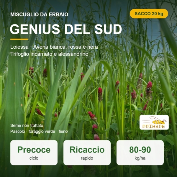 Miscuglio da Erbaio Genius del Sud – 20 kg – Non trattato – P...