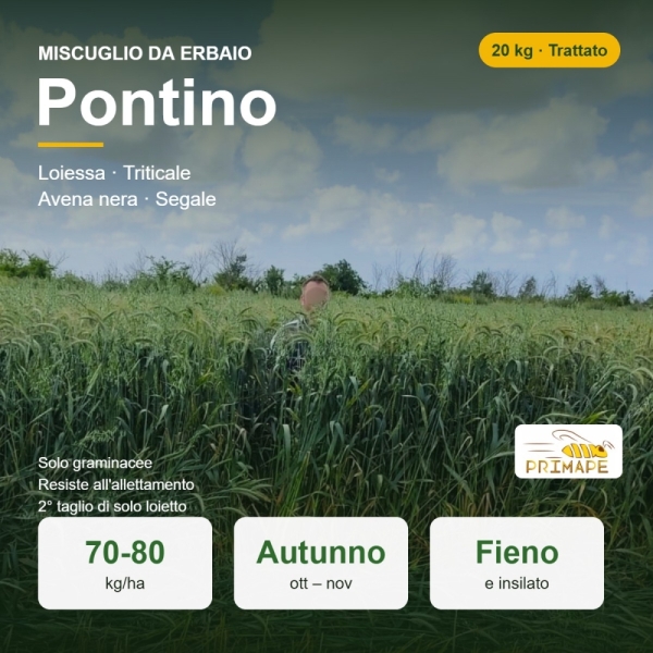 Miscuglio da Erbaio Pontino – 20 kg – Fieno e Insilato – Trat...