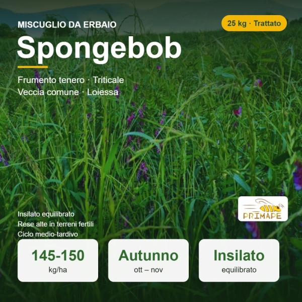 Miscuglio da Erbaio Spongebob – 25 kg – Insilato – Trattato